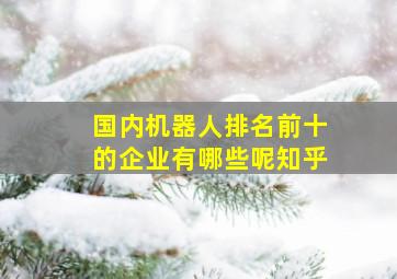 国内机器人排名前十的企业有哪些呢知乎