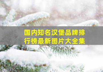 国内知名汉堡品牌排行榜最新图片大全集