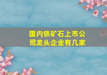 国内铁矿石上市公司龙头企业有几家