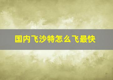 国内飞沙特怎么飞最快