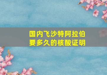 国内飞沙特阿拉伯要多久的核酸证明