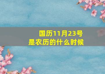 国历11月23号是农历的什么时候