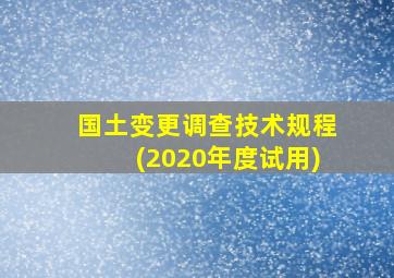 国土变更调查技术规程(2020年度试用)