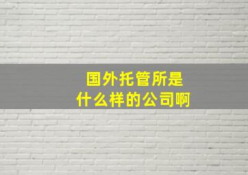 国外托管所是什么样的公司啊