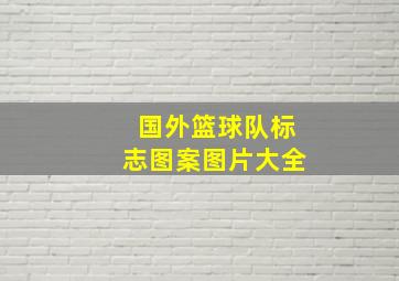 国外篮球队标志图案图片大全