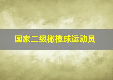 国家二级橄榄球运动员