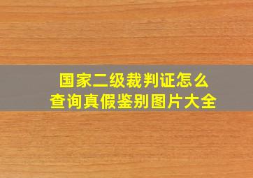 国家二级裁判证怎么查询真假鉴别图片大全