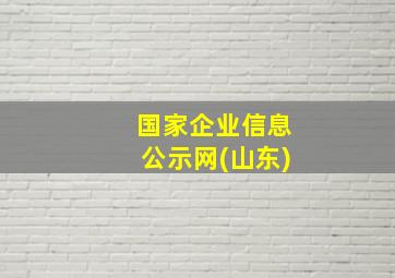 国家企业信息公示网(山东)