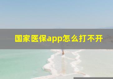 国家医保app怎么打不开