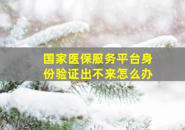 国家医保服务平台身份验证出不来怎么办