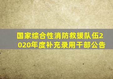 国家综合性消防救援队伍2020年度补充录用干部公告