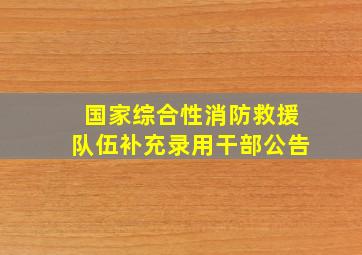 国家综合性消防救援队伍补充录用干部公告