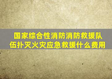 国家综合性消防消防救援队伍扑灭火灾应急救援什么费用