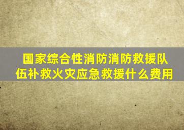 国家综合性消防消防救援队伍补救火灾应急救援什么费用