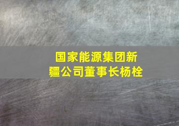 国家能源集团新疆公司董事长杨栓