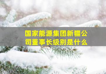 国家能源集团新疆公司董事长级别是什么