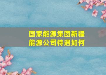 国家能源集团新疆能源公司待遇如何