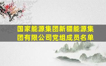 国家能源集团新疆能源集团有限公司党组成员名单