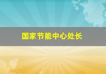 国家节能中心处长