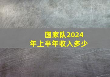 国家队2024年上半年收入多少