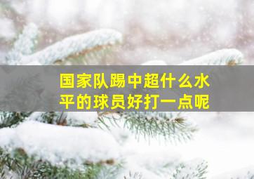 国家队踢中超什么水平的球员好打一点呢