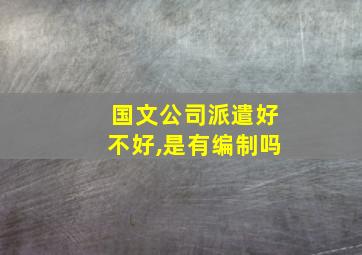 国文公司派遣好不好,是有编制吗