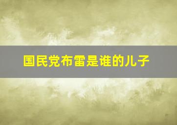 国民党布雷是谁的儿子