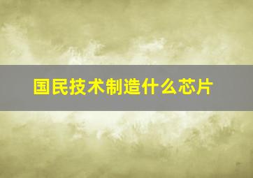 国民技术制造什么芯片