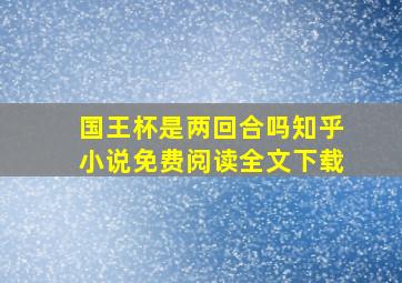 国王杯是两回合吗知乎小说免费阅读全文下载