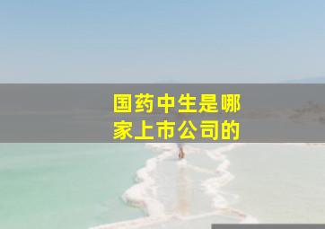 国药中生是哪家上市公司的