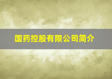 国药控股有限公司简介