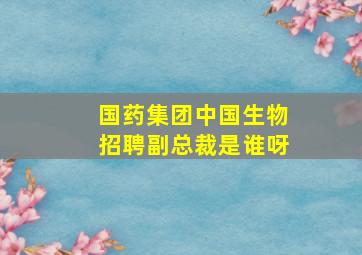 国药集团中国生物招聘副总裁是谁呀