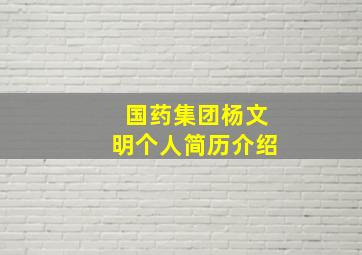 国药集团杨文明个人简历介绍