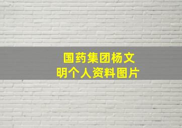 国药集团杨文明个人资料图片