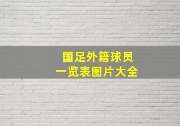 国足外籍球员一览表图片大全