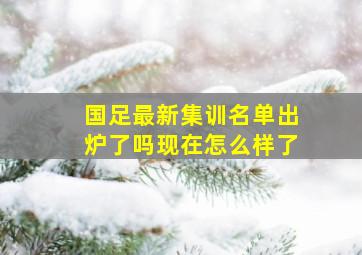 国足最新集训名单出炉了吗现在怎么样了