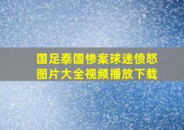 国足泰国惨案球迷愤怒图片大全视频播放下载