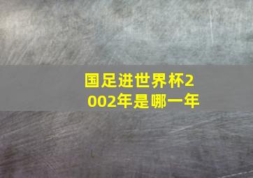 国足进世界杯2002年是哪一年