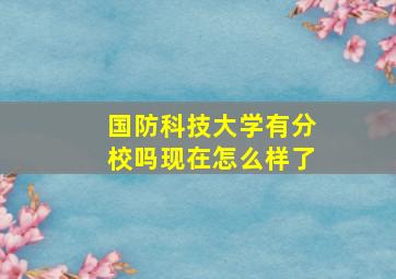 国防科技大学有分校吗现在怎么样了