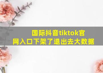 国际抖音tiktok官网入口下架了退出去大数据