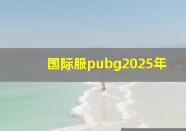 国际服pubg2025年