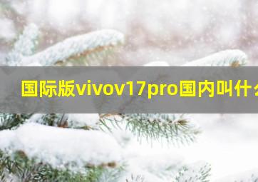 国际版vivov17pro国内叫什么