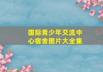 国际青少年交流中心宿舍图片大全集