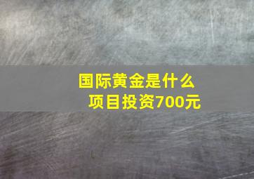 国际黄金是什么项目投资700元