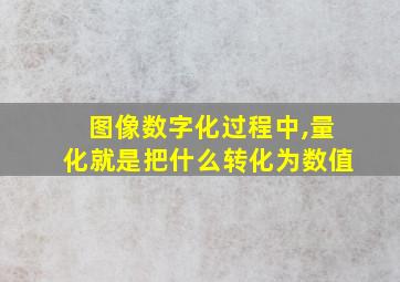 图像数字化过程中,量化就是把什么转化为数值