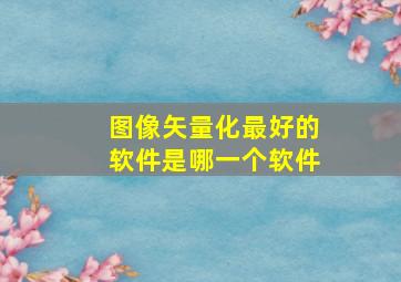 图像矢量化最好的软件是哪一个软件