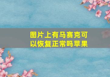 图片上有马赛克可以恢复正常吗苹果