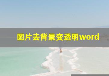 图片去背景变透明word