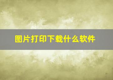 图片打印下载什么软件