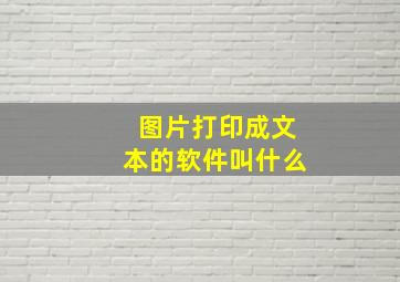 图片打印成文本的软件叫什么